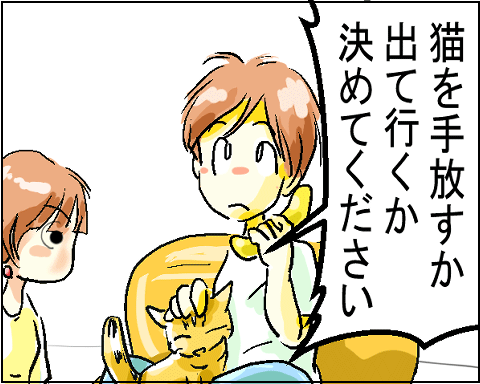 猫 1-7