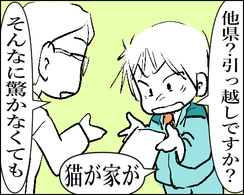 猫 66-1