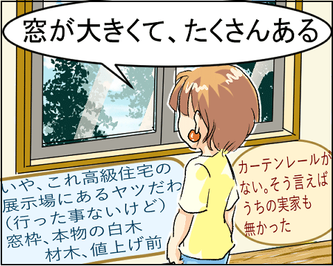猫 24-1