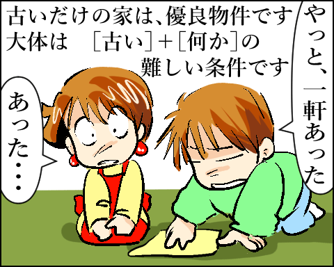 猫 65-6