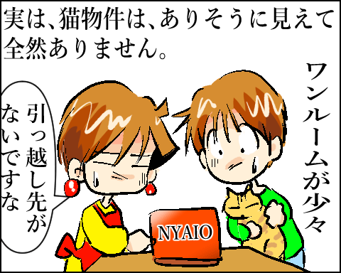 猫 65-2