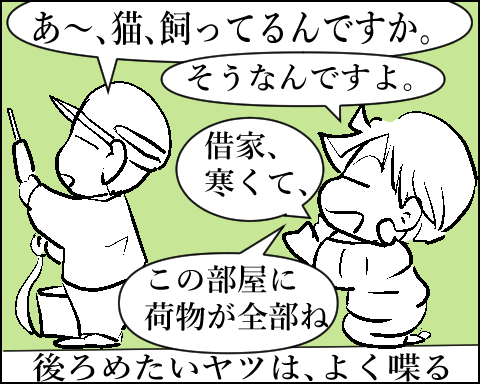 猫 64-8