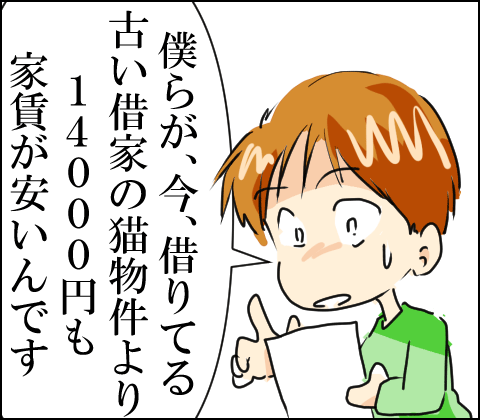 猫 74-5