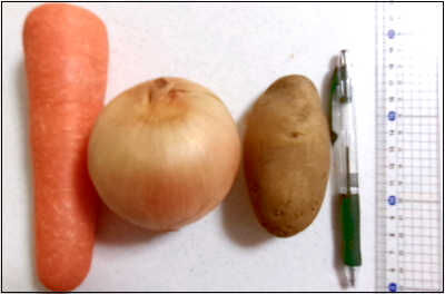 ジオ　２０ｃｍ　カレー  野菜　圧縮