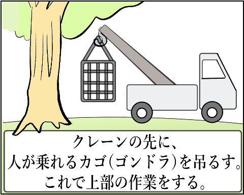 猫 38補足-9-1
