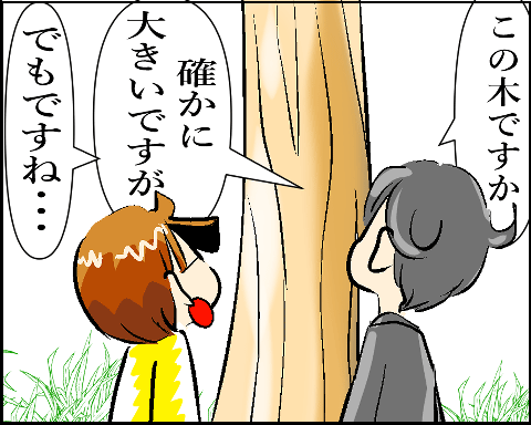 猫 38補足-4-4