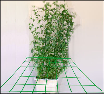 ウルオン合成 - コピー 圧縮