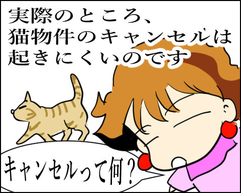 猫 105-1