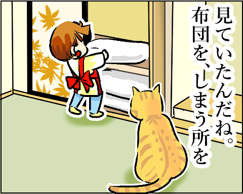 猫 59-3