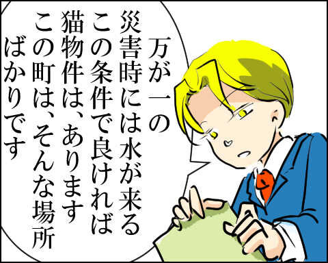 猫 88-4