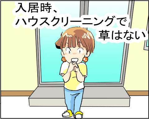 猫 24-7