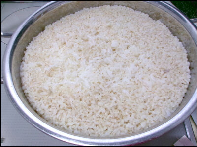 麦飯　22cm (2)圧縮