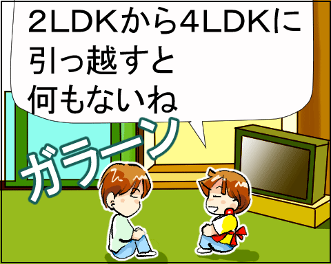 猫 31-6