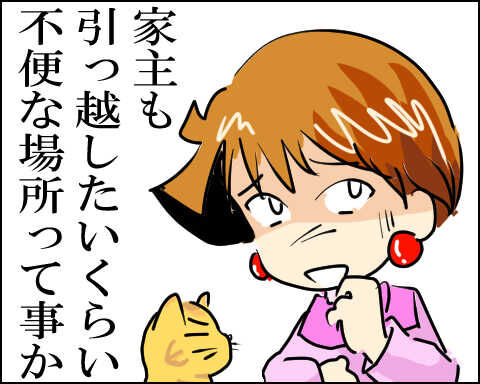 猫 86-9