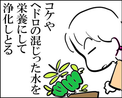 ナウシカ 3
