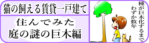 サイトマップ　住む-旧日本建