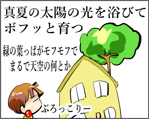 猫 33-8