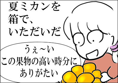 夏ミカン　1