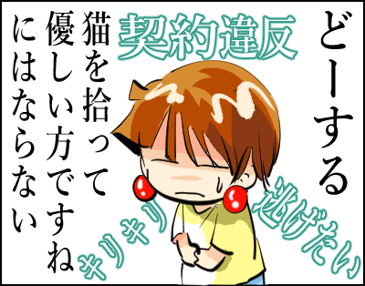 補足 猫 28