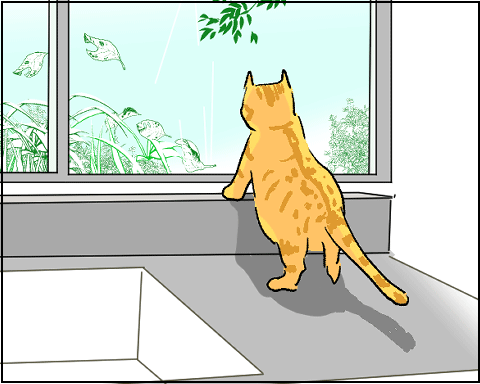 猫 21-2