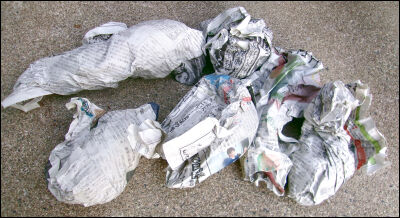 さつま芋　紅はるか　2025　２ (19)圧縮