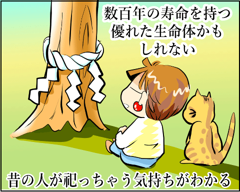 猫 38補足-3-14