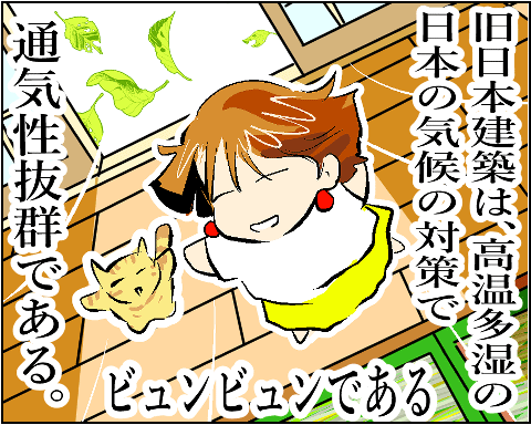 猫 41-0-1