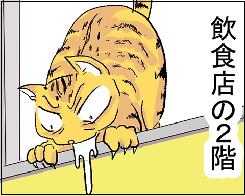 猫　９－４