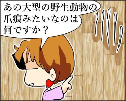 猫 98-7