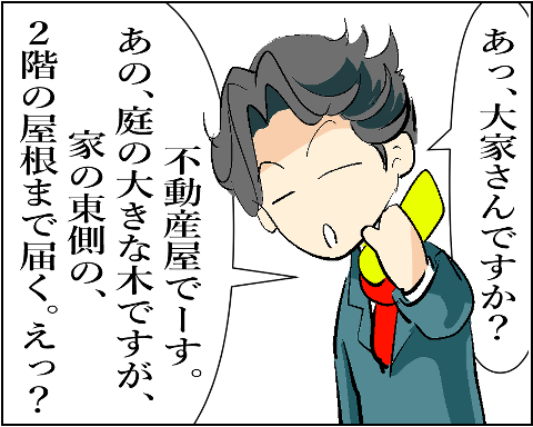 猫 38補足-4-7