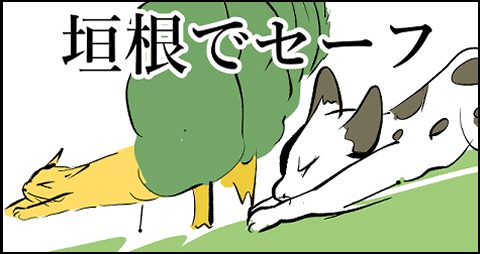 猫 補足 番外編 34-6