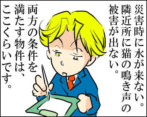猫 83-8-2