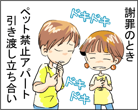 猫 28-1