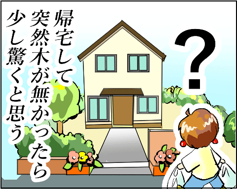 猫 38補足-8-11