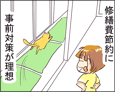 猫 20-8