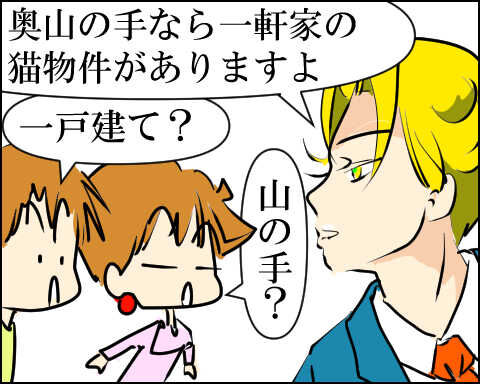 猫 80-1