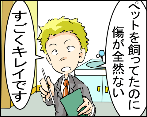 猫 29-1