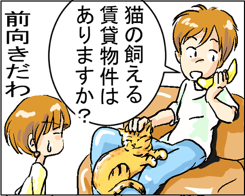 猫 3-1