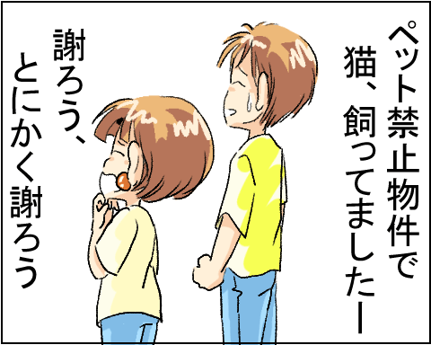 猫 28-2