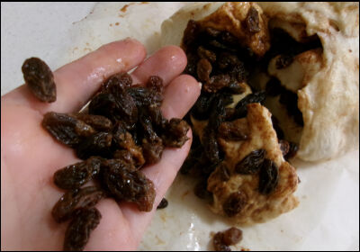 シナモンロールバター無し　２ (33)圧縮