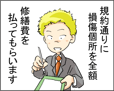 猫 28-4