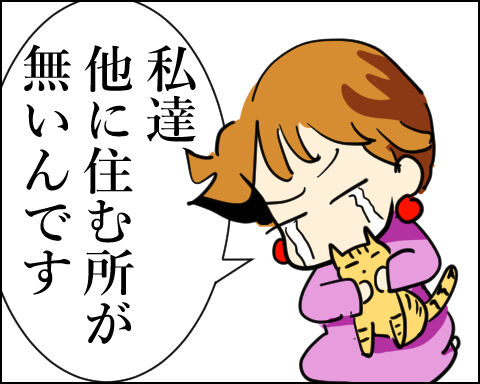 猫 105-6