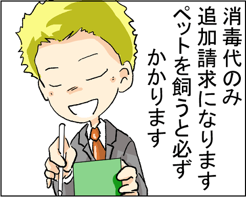 猫 29-4