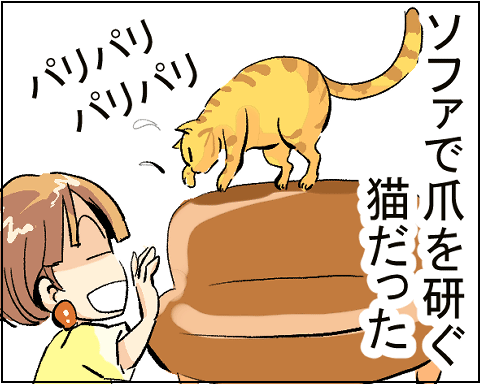 猫　３０－５