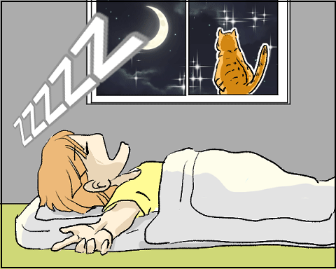 猫 18-6