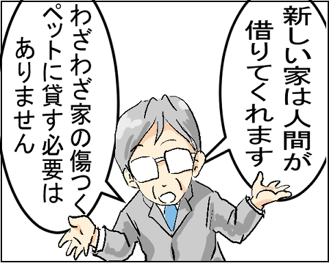猫 4-6