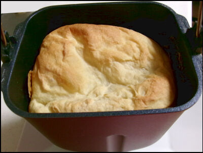 オリーブオイル　パンドミ (3)圧縮