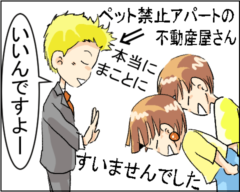 猫 28-3