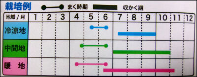 オクラ　2025　２ (2)圧縮