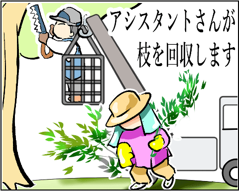 猫 38補足-9-3